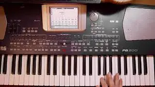 Bad Boys Blue -You're a Woman (Korg Pa 500) Cover