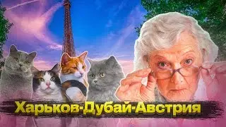Почему БЕЖЕНЦЫ БЕГУТ ИЗ АВСТРИИ и ЧЕХИИ..