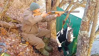 ОХОТА НА УТКУ ИЗ УКРЫТИЯ С ЧУЧЕЛАМИ / ПРОГРЕСС! УДАЧНАЯ УТРЯНОЧКА / ЖИЗНЬ НА КРАЙНЕМ СЕВЕРЕ КОМИ.