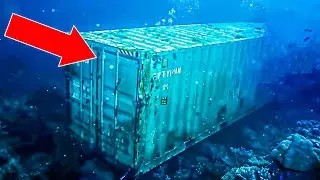 NO ONE Was Supposed To Find This! If a Diver Didn't Capture This, No One Would Believe This