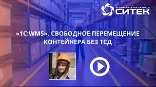 1С:WMS. Свободное перемещение паллет без ТСД