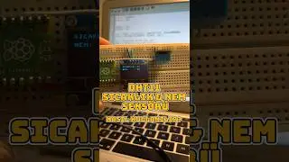 DHT11 sıcaklık ve nem sensörü rsp pico ile nasıl kullanılır? 