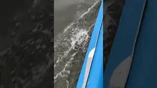 11 августа 2024 г.