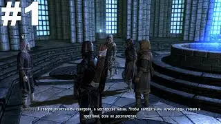 ▶The Elder Scrolls V: Skyrim. Первые уроки. #1