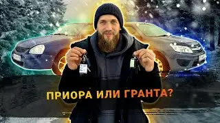 ОБЗОР ПРИОРЫ И ГРАНТЫ ЗА 500 ТЫСЯЧ!