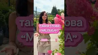 ВСЯ ИСТОРИЯ - В ОПИСАНИИ. Прочтите! Это интересно!🌸🍃 #сад #садовыйцентр #гортензии #фрайзмельба