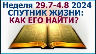 Неделя 29 июля - 4 августа 2024 г.: о том как найти спутника жизни. Свидетели Иеговы