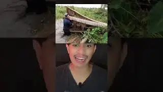 MAKHLUK APAKAH DIDALAM POHON KELAPA INI⁉️😱 (pt 2) | Ale Khin 