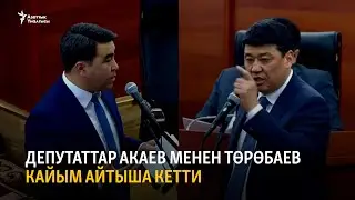 Депутаттар Жанарбек Акаев менен Бакыт Төрөбаев кайым айтыша кетти