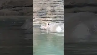 Водяной 😅👍