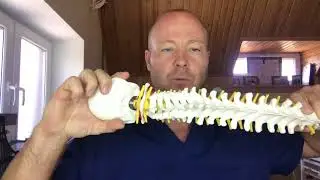 Что делать при травме шеи! Советы домашнего лечения