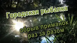 Береговой спиннинг в черте города или стритфишинг... когда цель оправдывает средства.