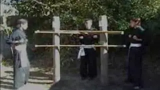 Snake fist, Tecnicas de serpiente