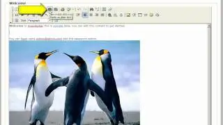 How to use FCKeditor - Basics