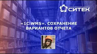1С:WMS. Сохранение вариантов отчета