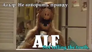 Альф. Не говорити правду. Alf. Not telling the truth. Альф. Не говорить правду. #alf