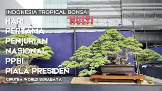 Hari pertama penjurian nasional PPBI Piala Presiden Bonsai 2024