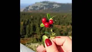 Бурятия /Гимн Бурятии/Красота Бурятии/Песни о Бурятии