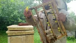 Отчетное видео для сельхоз академии