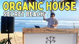 Bali Beach Organic House Mix - @UTILIS