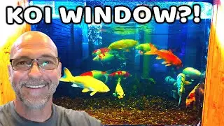 How to Install a *KOI WINDOW* for an Indoor Pond