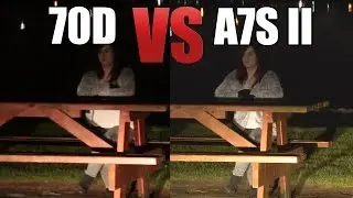 Sony a7S II (APS-C) vs Canon 70D ISO Video Test