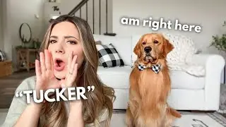 Calling My Dog When He's Right Next to Me