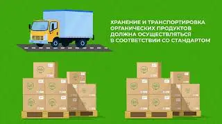Этапы перехода на органическое сельскохозяйственное производство
