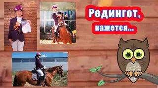 Редингот, кажется...