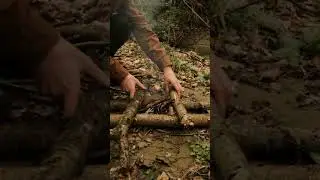 Бомж-обед у ручья