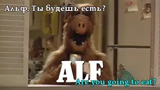 Альф. Ти будеш їсти? Alf. Are you going to eat? Альф. Ты будешь есть? #alf