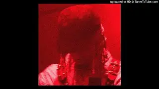 (free) WLR + Playboi Carti + Young Nudy 