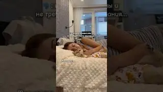 Когда показалось, что кошки независимые существа