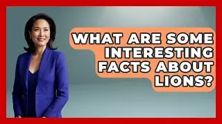 What Are Some Interesting Facts About Lions? - The Wild Life Explorer