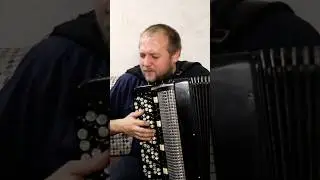 Джентльмены УДАЧИ на Баяне #баян #баянист #топбаянист #джентльменыудачи #кавер