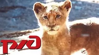 Lion King 2019 Russian Railways version