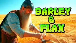 Unveiling My ULTIMATE Barley & Flax Plus Endgame Diet #valheim #valheimtips