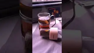 За гусем в Коми! 