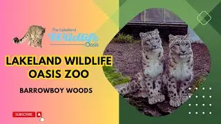 Lakeland Wildlife Oasis Zoo