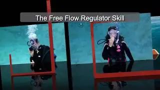 The Free Flow Regulator Skill