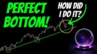 How I Predicted a V-Shaped Recovery from the Bottom and What's Next!