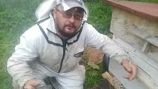 заселяем что успели поймать)))