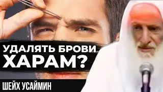 Удаления волос бровей| Шейх Усеймин да помилует его Аллах