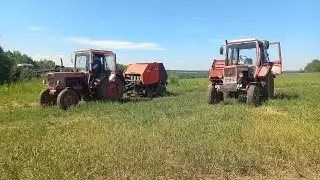 ООО Агрофирма Манчажская 2022год.
