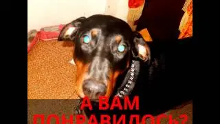 И СНОВА ЗДРАВСТВУЙТЕ!!! Я  ЗЕНА!!!
