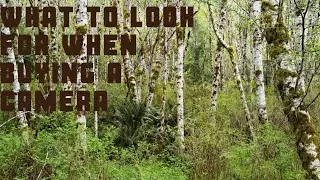 What is the BEST thing to look for in a Camera
