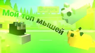 Мой топ мышей из royal rat pass в Cook Burgers
