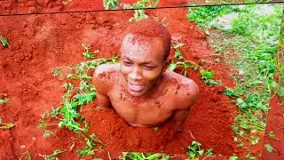 How Seeds Behave zikiwa Chini ya Mchanga