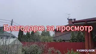Цветут вишни, идёт снег... работы по спасению урожая! Обзор сада май 2024
