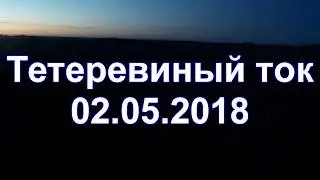 Тетеревиный ток